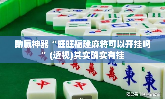 助赢神器“旺旺福建麻将可以开挂吗”(透视)其实确实有挂