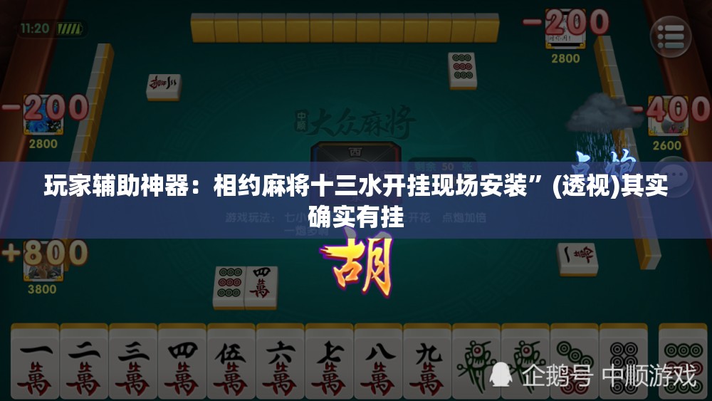 玩家辅助神器：相约麻将十三水开挂现场安装”(透视)其实确实有挂