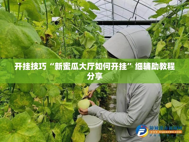 开挂技巧“新蜜瓜大厅如何开挂”细辅助教程分享