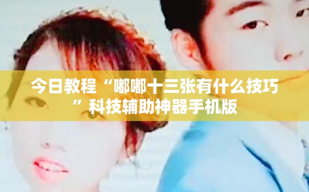 今日教程“嘟嘟十三张有什么技巧”科技辅助神器手机版