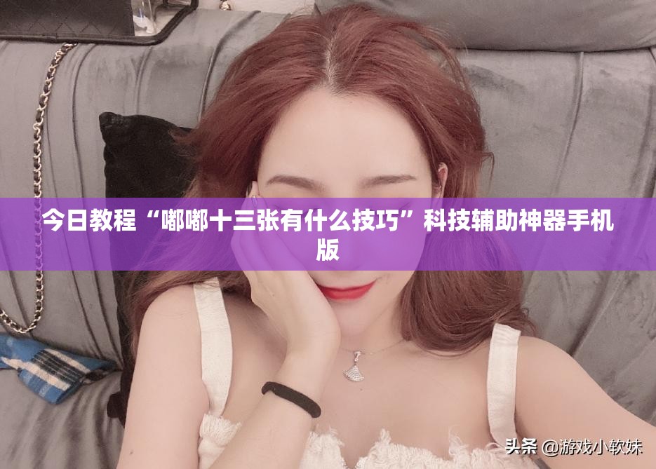 今日教程“嘟嘟十三张有什么技巧”科技辅助神器手机版
