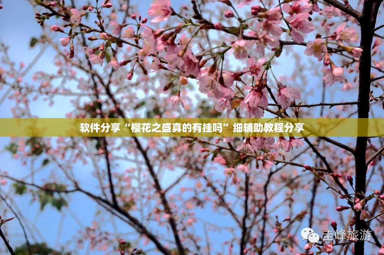 软件分享“樱花之盛真的有挂吗	”细辅助教程分享