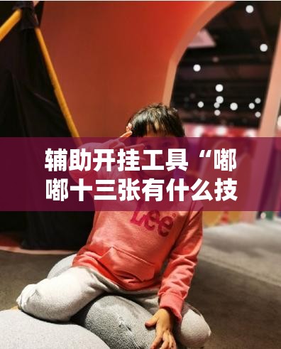 辅助开挂工具“嘟嘟十三张有什么技巧”原来可以开挂