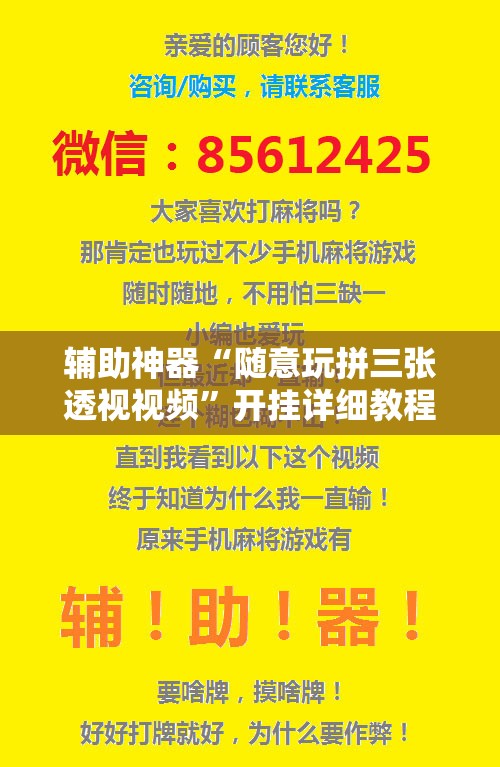 辅助神器“随意玩拼三张透视视频”开挂详细教程