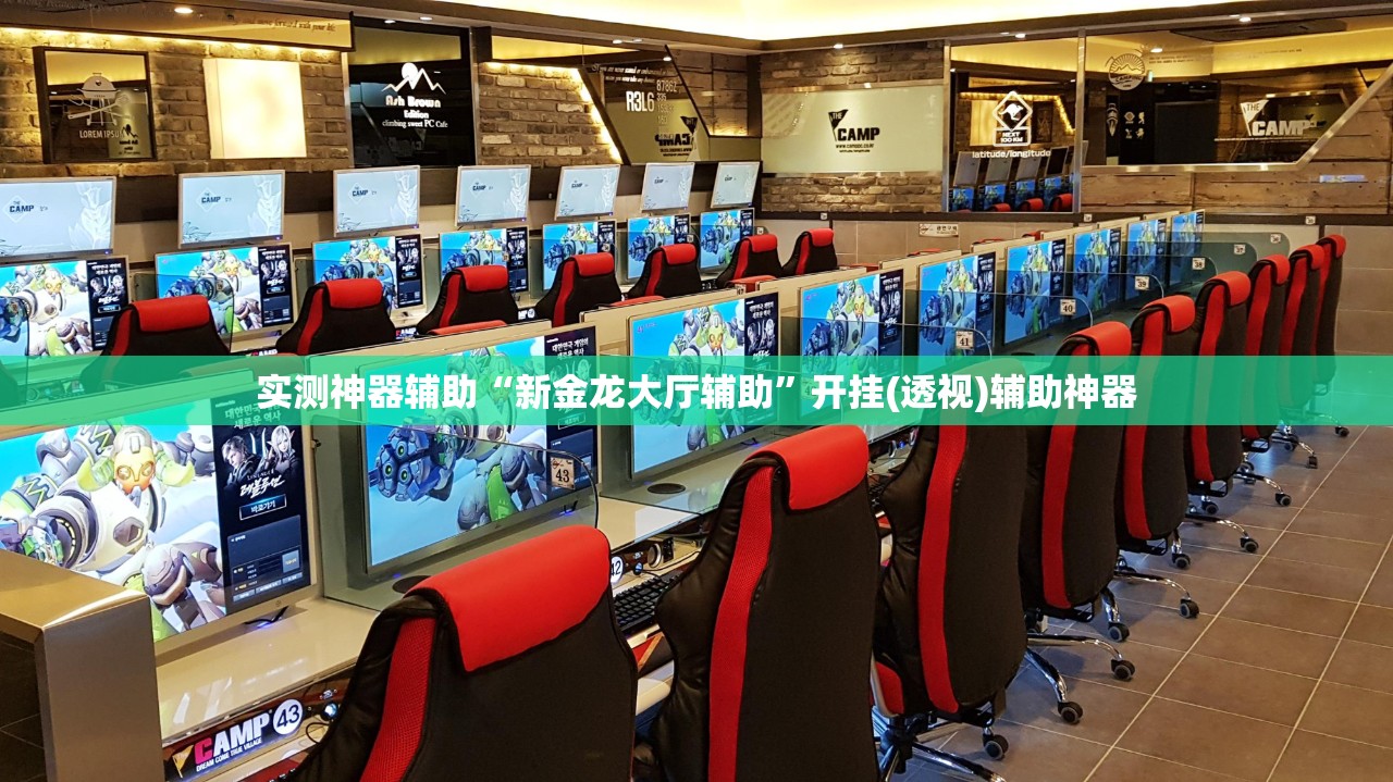 实测神器辅助“新金龙大厅辅助”开挂(透视)辅助神器