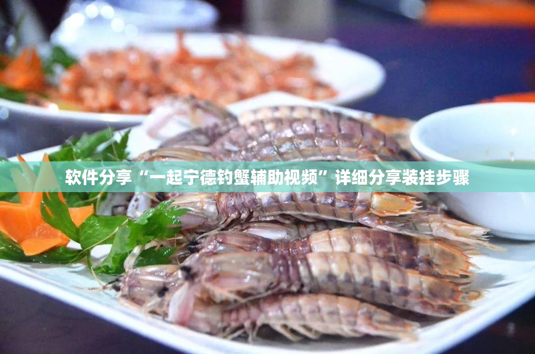 软件分享“一起宁德钓蟹辅助视频	”详细分享装挂步骤