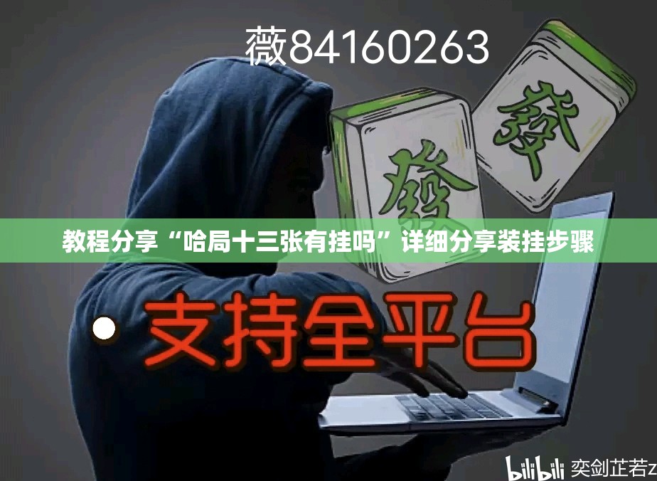 教程分享“哈局十三张有挂吗”详细分享装挂步骤