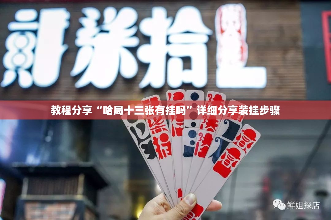 教程分享“哈局十三张有挂吗”详细分享装挂步骤
