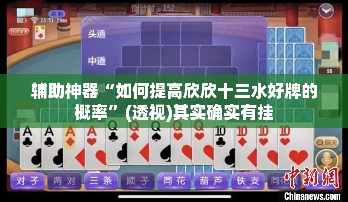 辅助神器“如何提高欣欣十三水好牌的概率”(透视)其实确实有挂