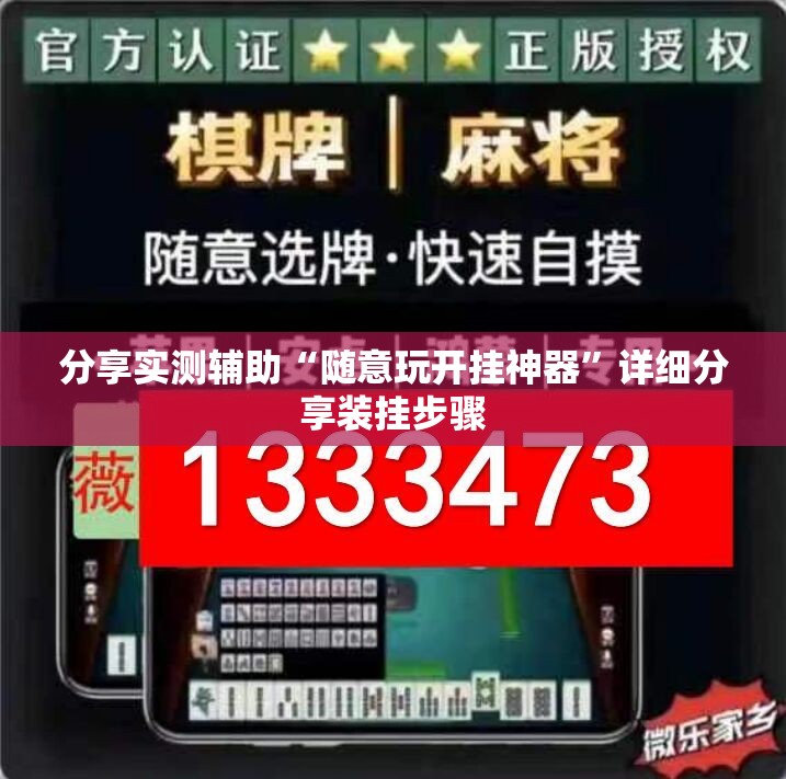 分享实测辅助“随意玩开挂神器	”详细分享装挂步骤