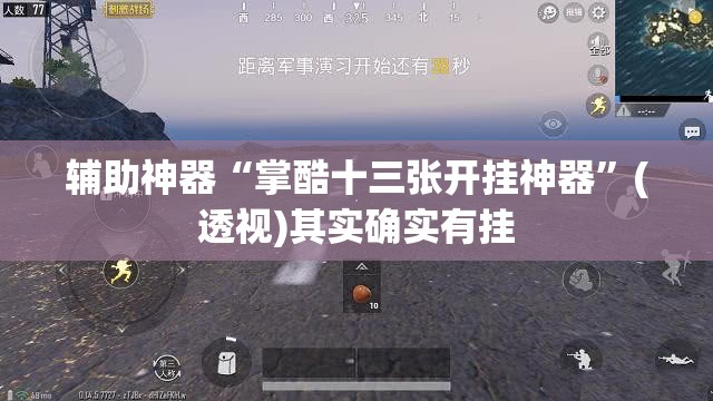 辅助神器“掌酷十三张开挂神器”(透视)其实确实有挂