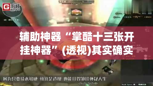 辅助神器“掌酷十三张开挂神器	”(透视)其实确实有挂