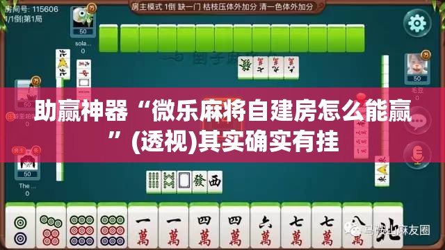 助赢神器“微乐麻将自建房怎么能赢	”(透视)其实确实有挂