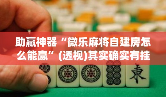 助赢神器“微乐麻将自建房怎么能赢”(透视)其实确实有挂