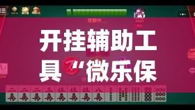 开挂辅助工具“微乐保皇怎么能让牌好一点”(透视)其实确实有挂