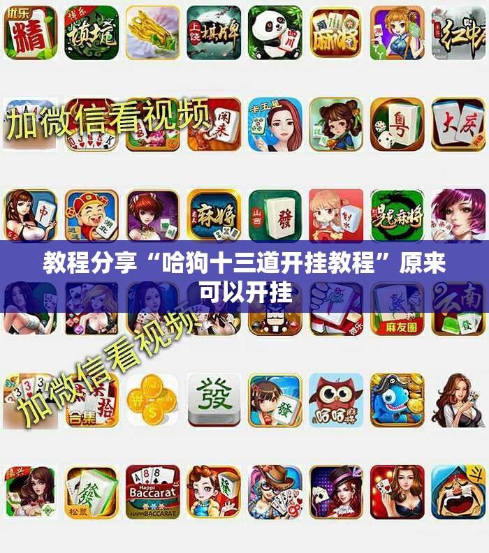 教程分享“哈狗十三道开挂教程	”原来可以开挂