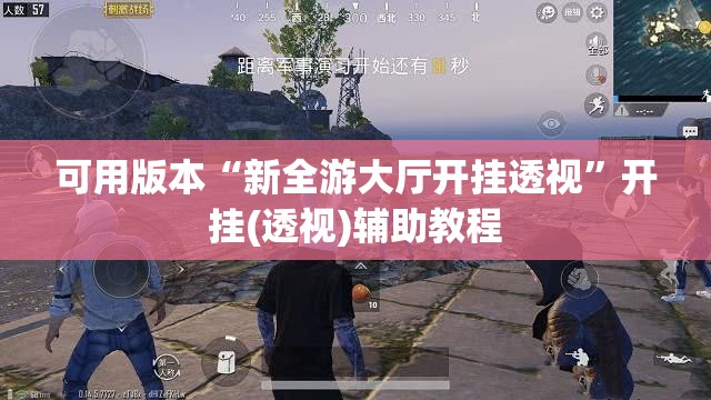 可用版本“新全游大厅开挂透视”开挂(透视)辅助教程