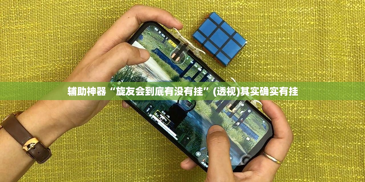 辅助神器“旋友会到底有没有挂	”(透视)其实确实有挂