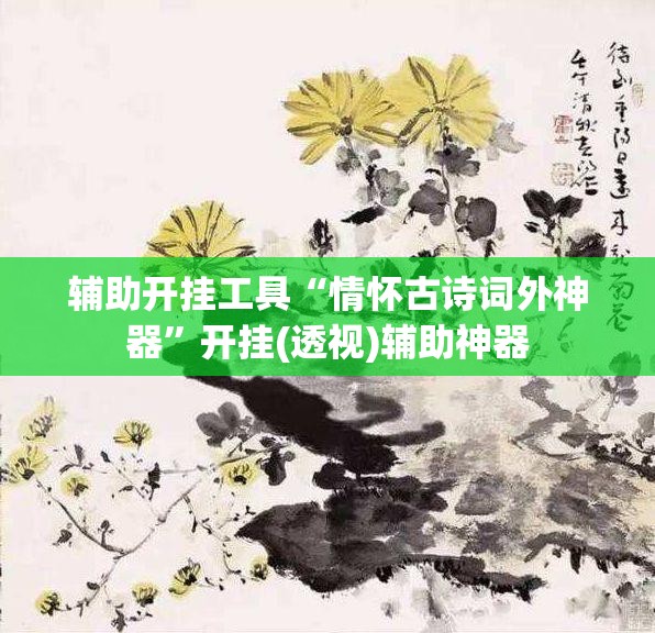 辅助开挂工具“情怀古诗词外神器”开挂(透视)辅助神器
