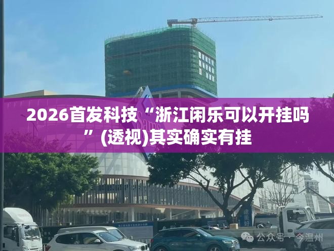 2026首发科技“浙江闲乐可以开挂吗”(透视)其实确实有挂