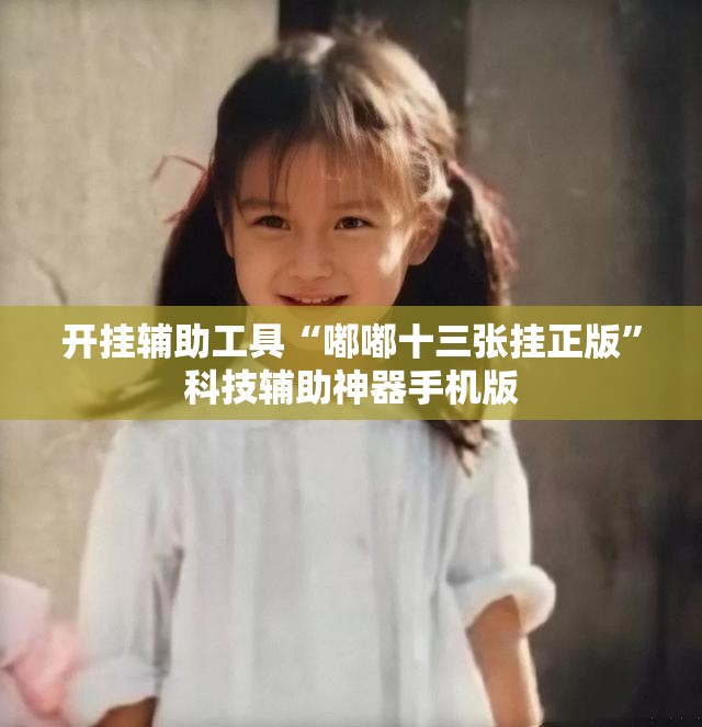 开挂辅助工具“嘟嘟十三张挂正版”科技辅助神器手机版