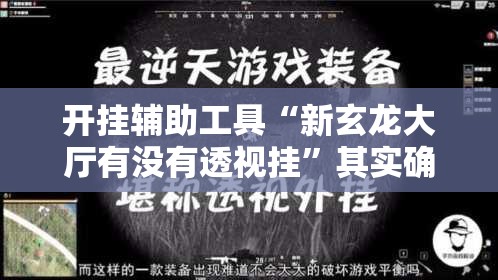 开挂辅助工具“新玄龙大厅有没有透视挂”其实确实有挂