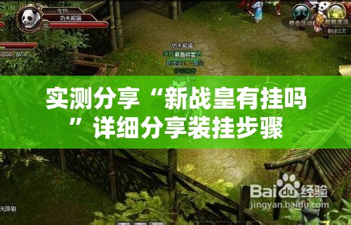 实测分享“新战皇有挂吗	”详细分享装挂步骤
