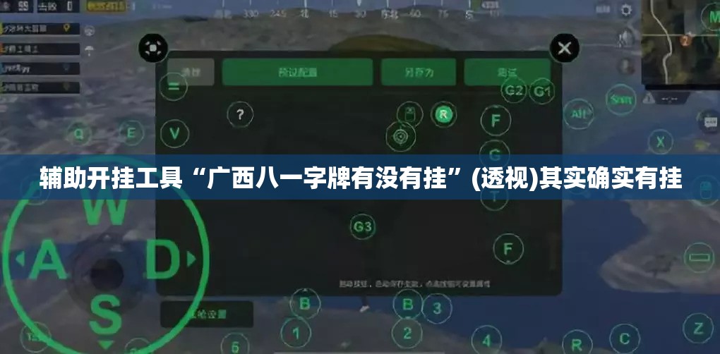 辅助开挂工具“广西八一字牌有没有挂”(透视)其实确实有挂