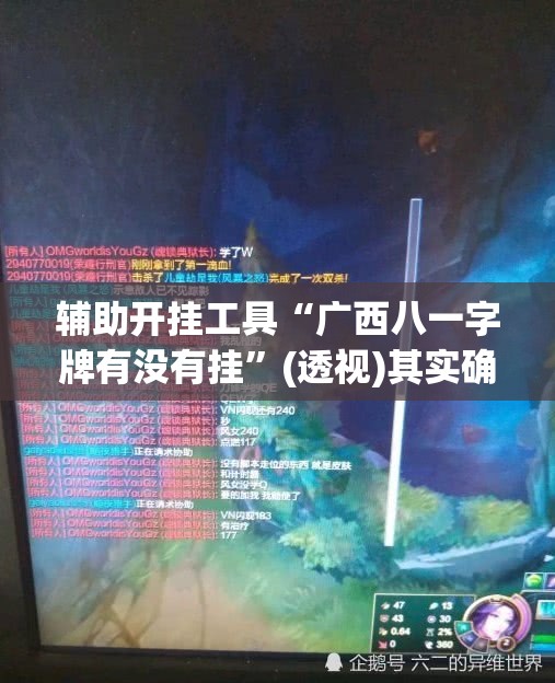 辅助开挂工具“广西八一字牌有没有挂	”(透视)其实确实有挂