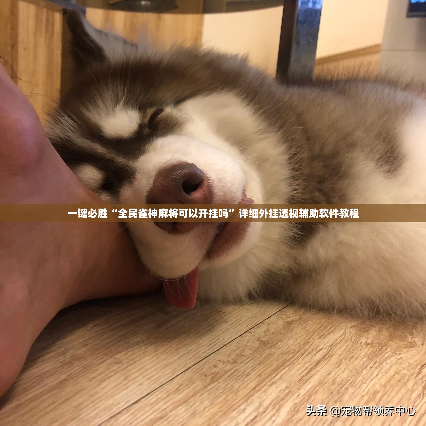 一键必胜“全民雀神麻将可以开挂吗”详细外挂透视辅助软件教程