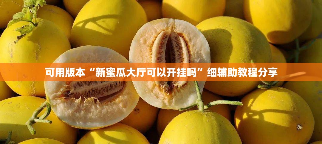 可用版本“新蜜瓜大厅可以开挂吗”细辅助教程分享