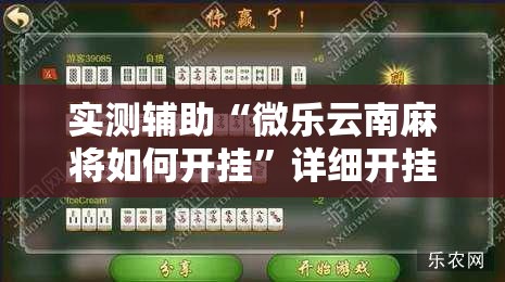 实测辅助“微乐云南麻将如何开挂”详细开挂教程