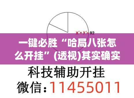 一键必胜“哈局八张怎么开挂”(透视)其实确实有挂