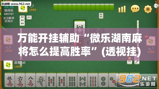 万能开挂辅助“微乐湖南麻将怎么提高胜率”(透视挂)辅助下载教程