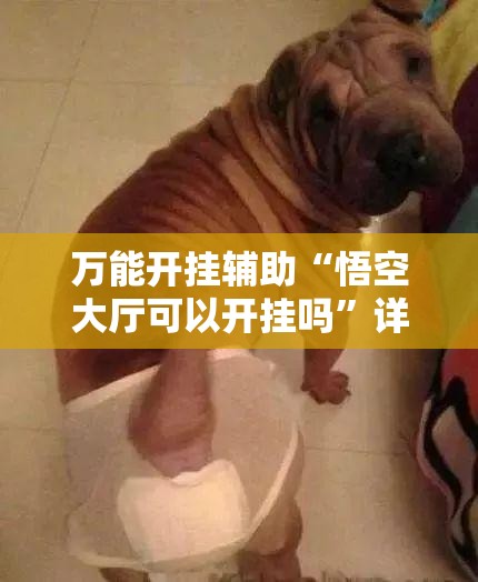 万能开挂辅助“悟空大厅可以开挂吗	”详细外挂透视辅助软件教程