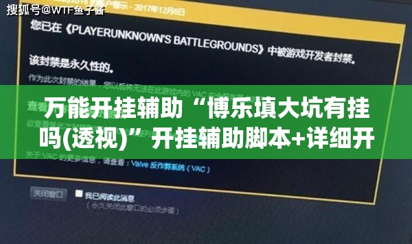 万能开挂辅助“博乐填大坑有挂吗(透视)	”开挂辅助脚本+详细开挂安装教程