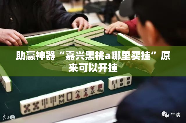 助赢神器“嘉兴黑桃a哪里买挂”原来可以开挂