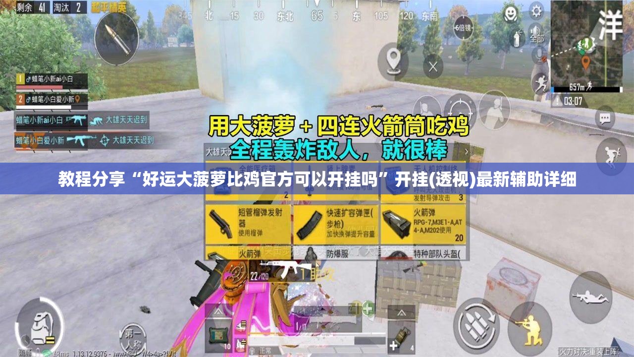 教程分享“好运大菠萝比鸡官方可以开挂吗	”开挂(透视)最新辅助详细