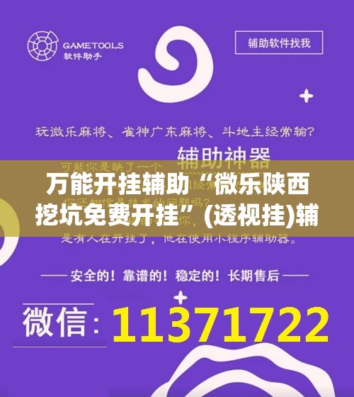 万能开挂辅助“微乐陕西挖坑免费开挂”(透视挂)辅助下载教程
