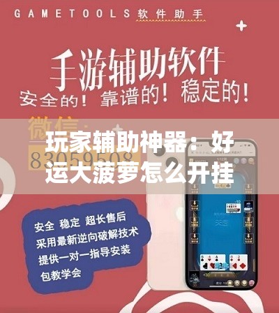 玩家辅助神器：好运大菠萝怎么开挂	”开挂(透视)最新辅助详细