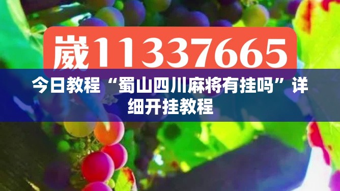 今日教程“蜀山四川麻将有挂吗	”详细开挂教程