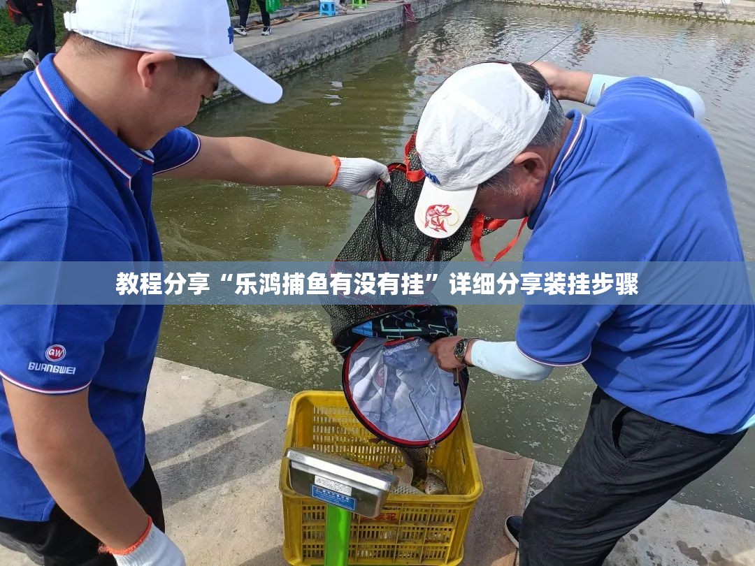 教程分享“乐鸿捕鱼有没有挂”详细分享装挂步骤
