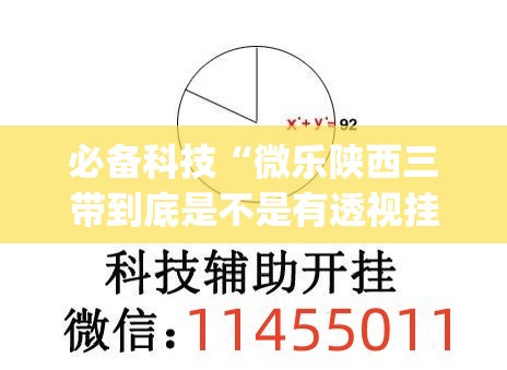 必备科技“微乐陕西三带到底是不是有透视挂”(免费)开挂辅助教学(最新辅助开挂教程)