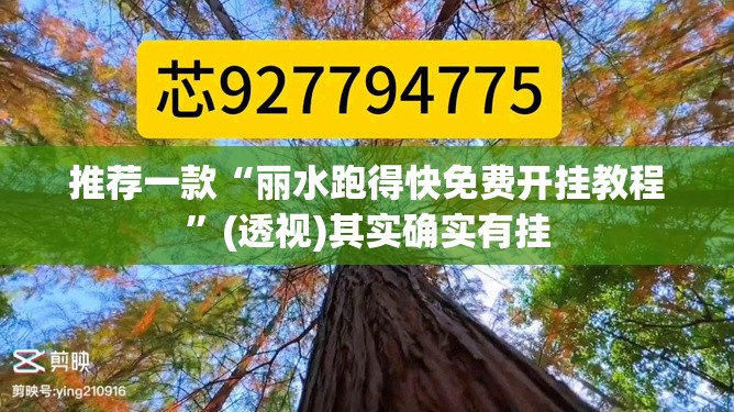 推荐一款“丽水跑得快免费开挂教程”(透视)其实确实有挂