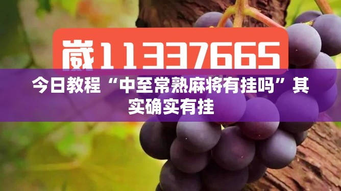 今日教程“中至常熟麻将有挂吗”其实确实有挂