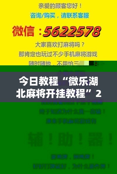 今日教程“微乐湖北麻将开挂教程”2026开挂教程步骤