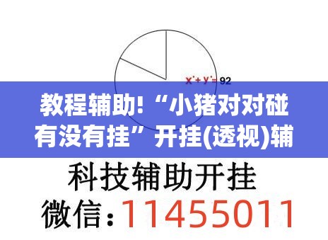 教程辅助!“小猪对对碰有没有挂	”开挂(透视)辅助教程