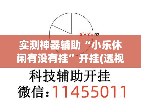 实测神器辅助“小乐休闲有没有挂”开挂(透视)辅助教程