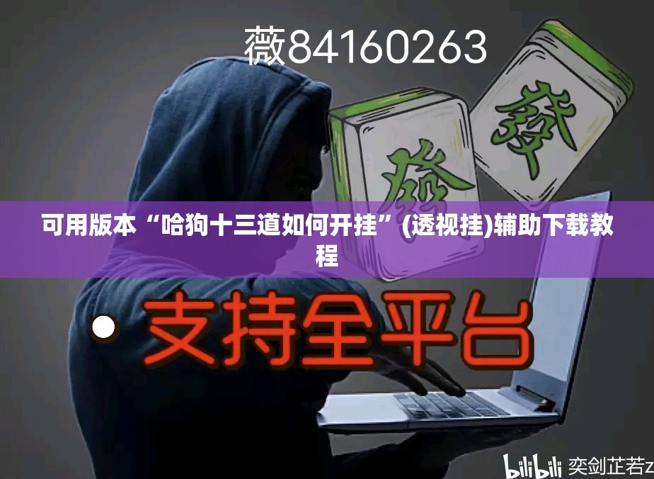 可用版本“哈狗十三道如何开挂”(透视挂)辅助下载教程