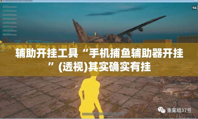 辅助开挂工具“手机捕鱼辅助器开挂	”(透视)其实确实有挂